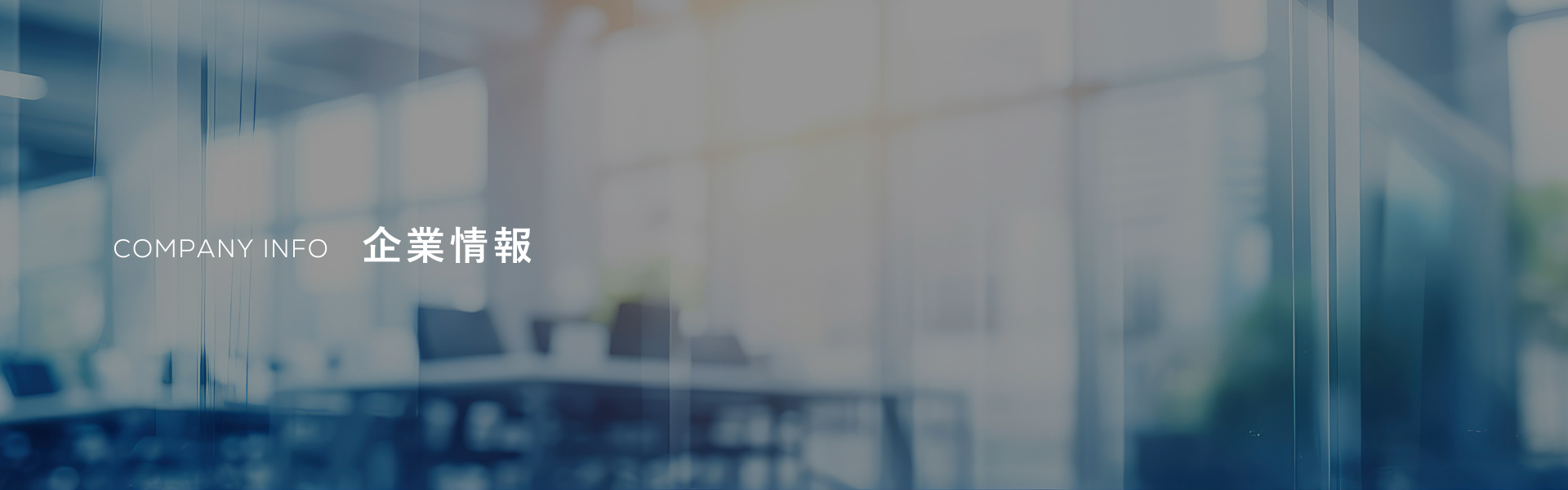 COMPANY INFO 企業情報