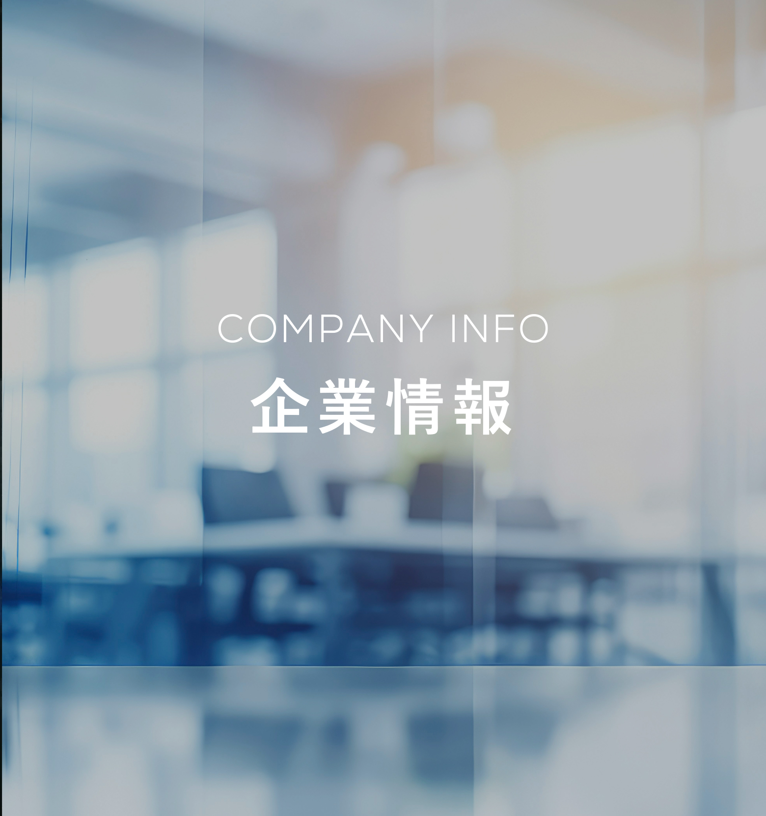 COMPANY INFO 企業情報